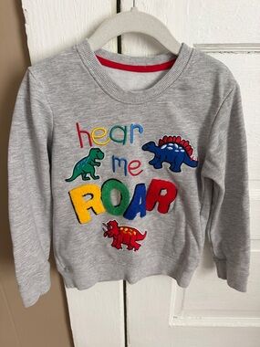 Kids' Gray 'Hear Me Roar' Dino Sweatshirt